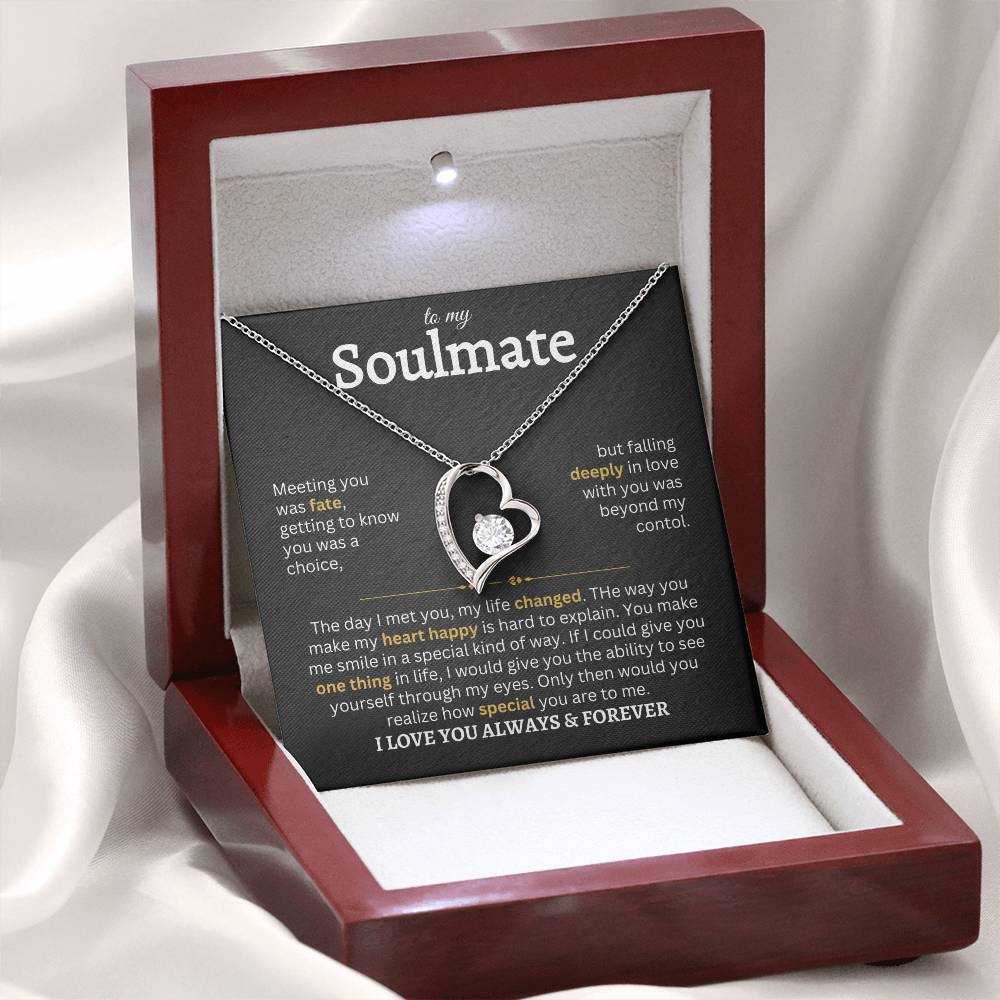 To My Soulmate | Meeting You Was Fate- Forever Love Necklace