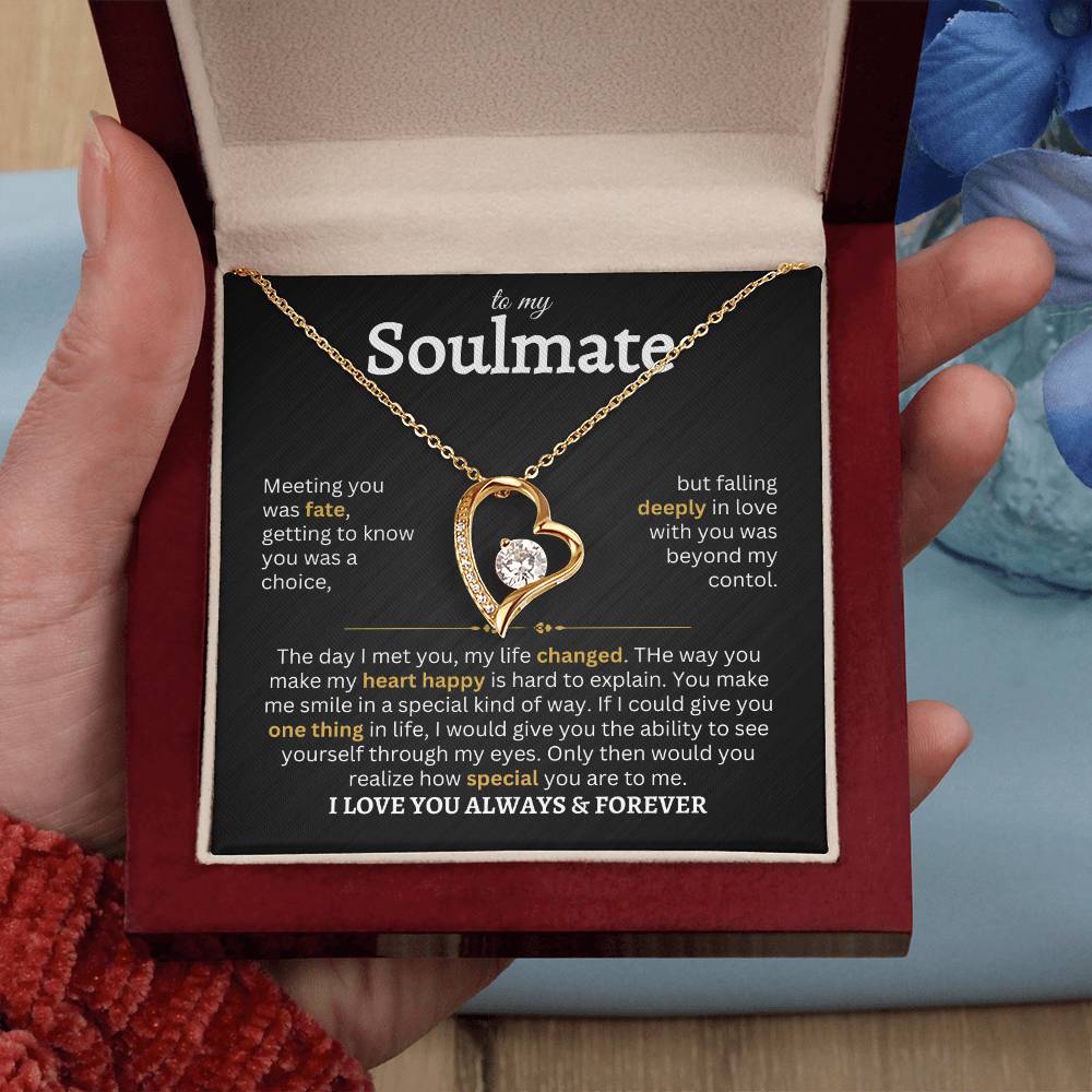 To My Soulmate | Meeting You Was Fate- Forever Love Necklace