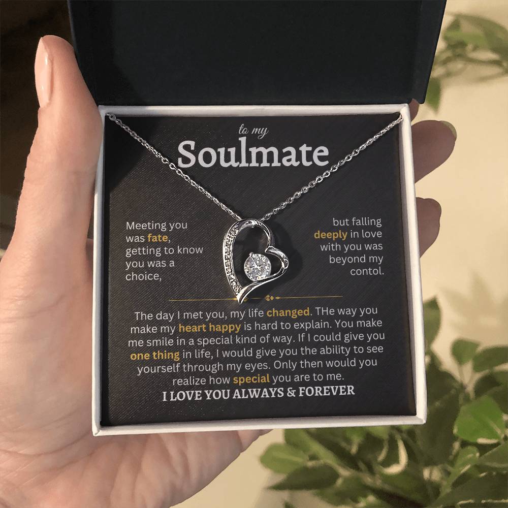 To My Soulmate | Meeting You Was Fate- Forever Love Necklace