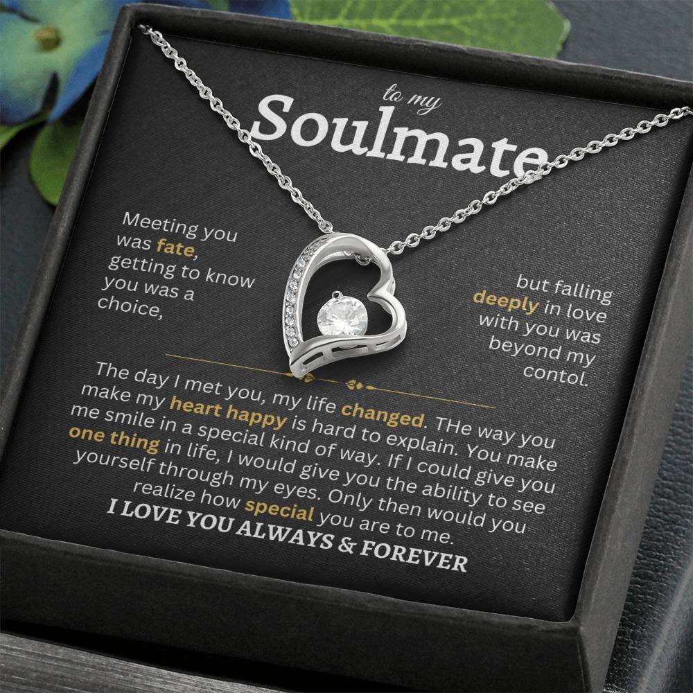 To My Soulmate | Meeting You Was Fate- Forever Love Necklace