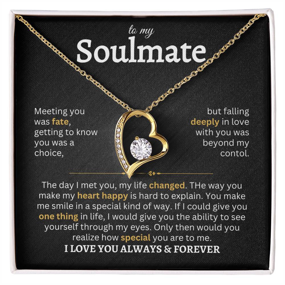 To My Soulmate | Meeting You Was Fate- Forever Love Necklace