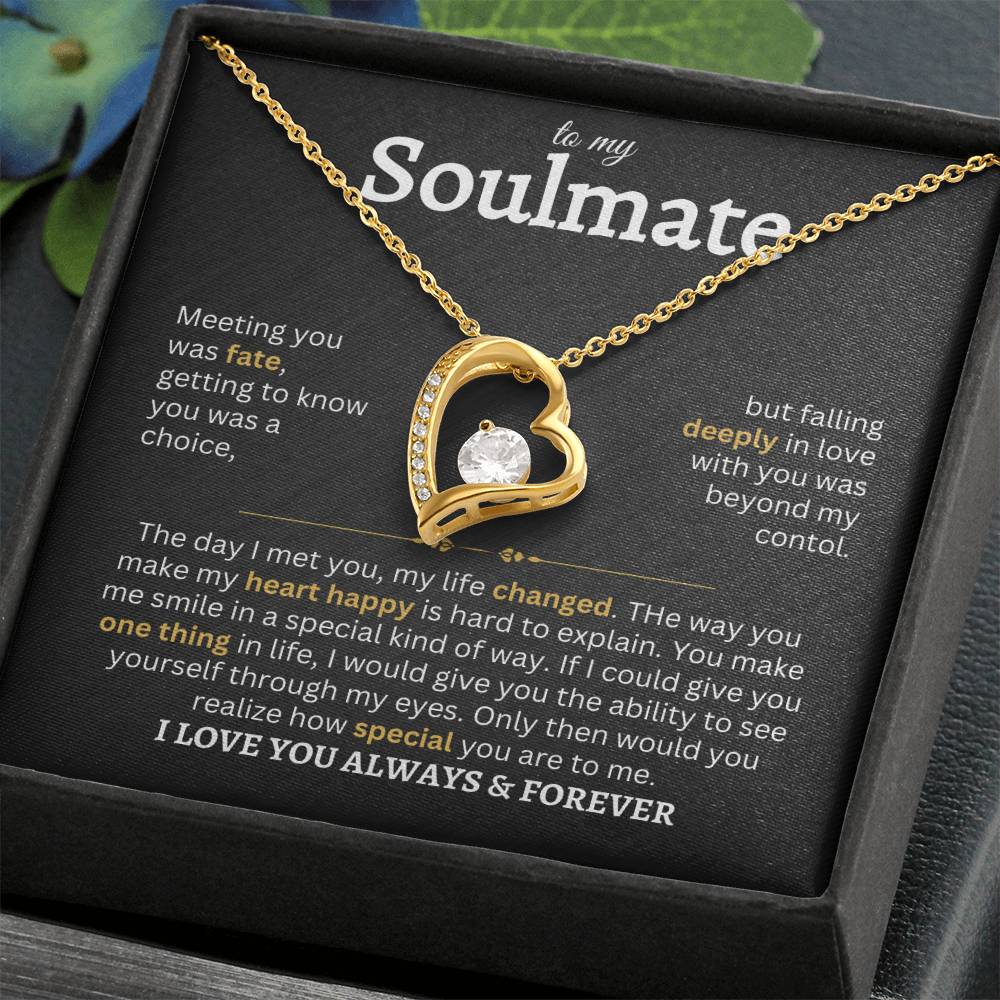 To My Soulmate | Meeting You Was Fate- Forever Love Necklace
